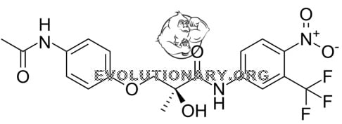 Testoviron anabolic research labs