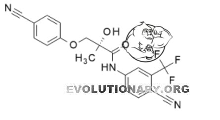 ostarine mk-2866