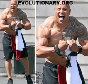 dwayne-johnson-steroids-300x287.jpg