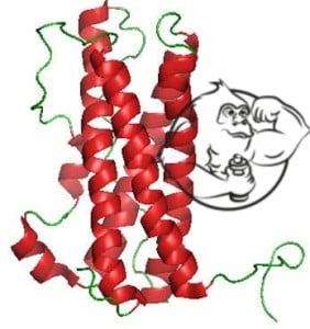 Test propionate