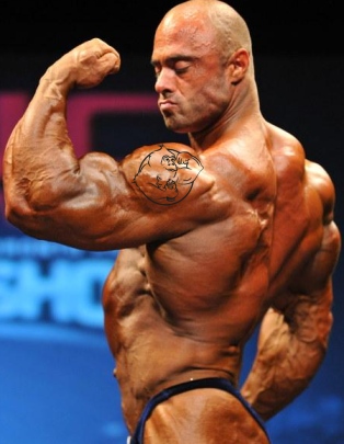 Boldenone undecylenate vascularity