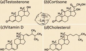 Testosterone propionate ru