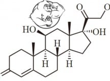 Oxandrolone vs anavar