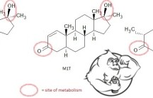 Test propionate vs test phenylpropionate