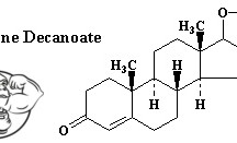 Nandrolone decanoate hpta