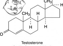 Oxymetholone chemical structure