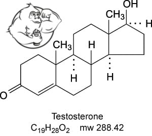 Testosterone suspension vs propionate