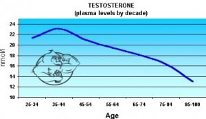 Real pro steroid cycles