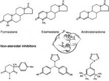 Test propionate diet