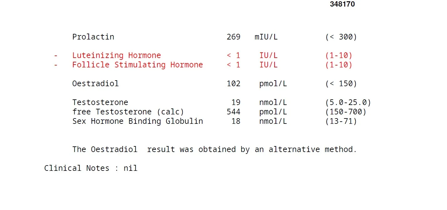 1.webp