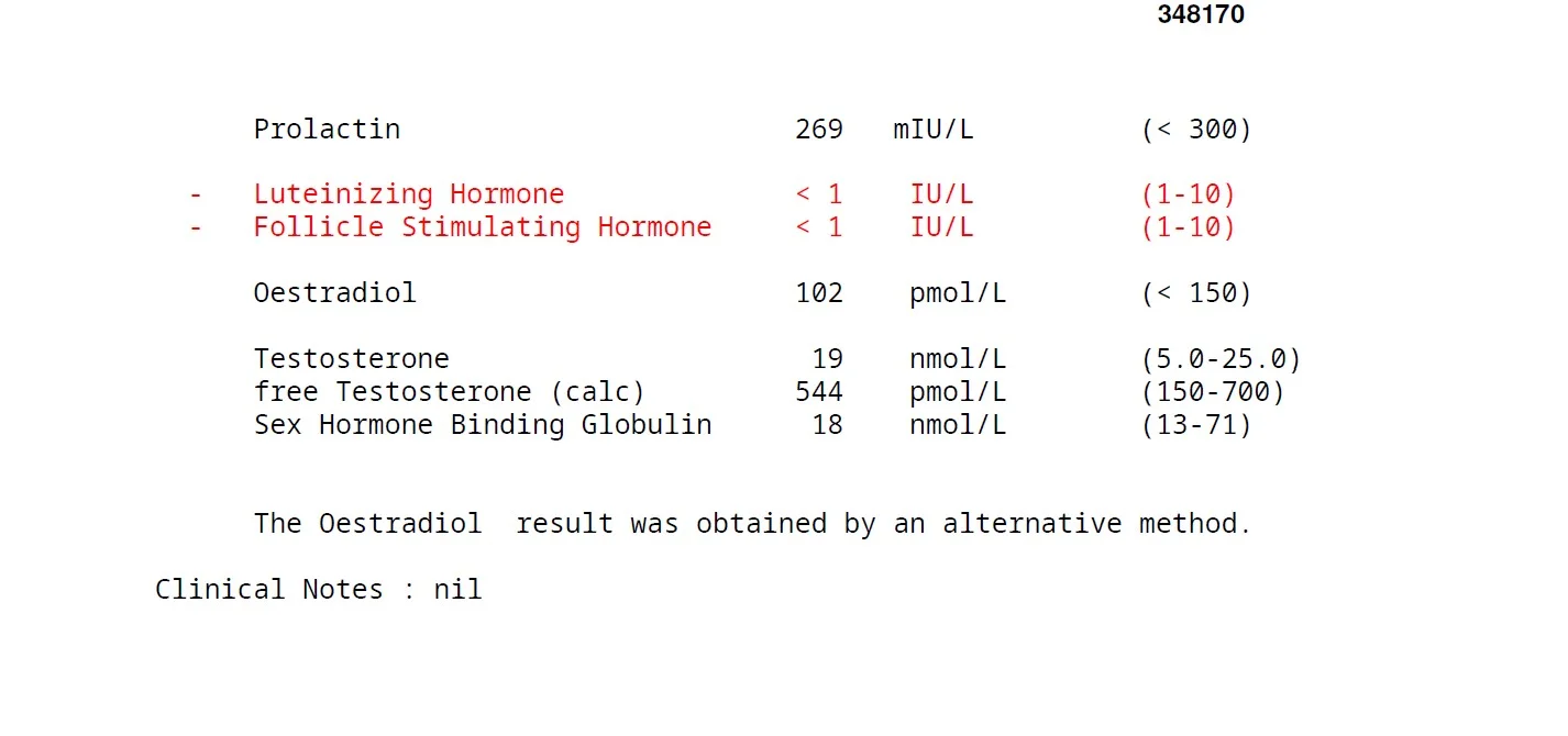 1.webp