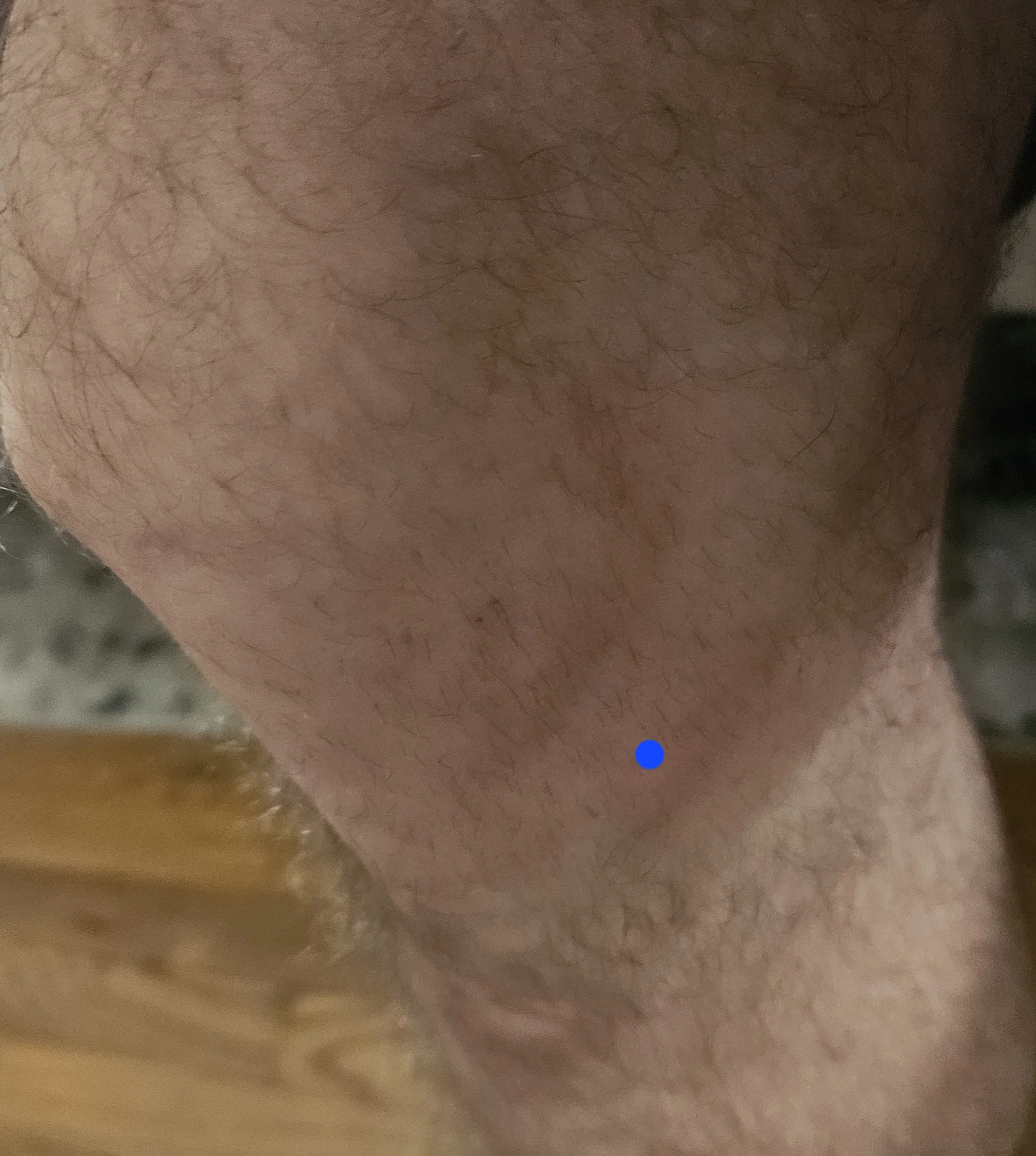 1000001854.jpg