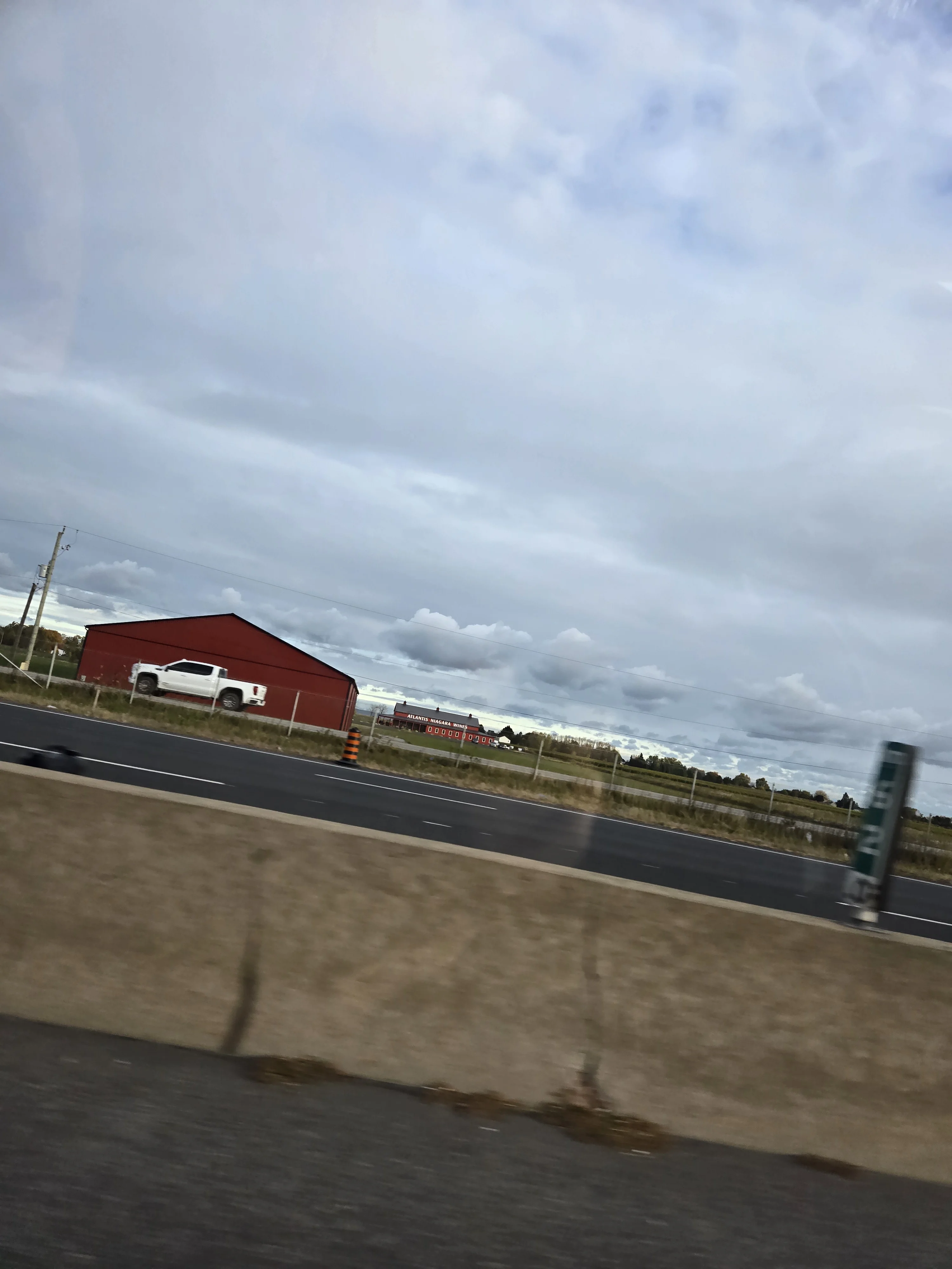 1000025462.webp