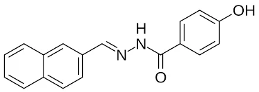 11Mar SLU-PP-332.webp