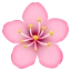 1757587918192.webp