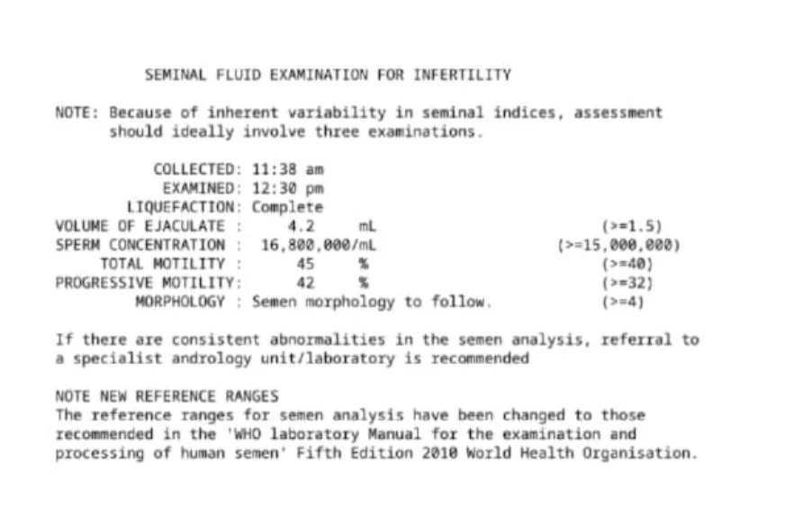 19960.webp