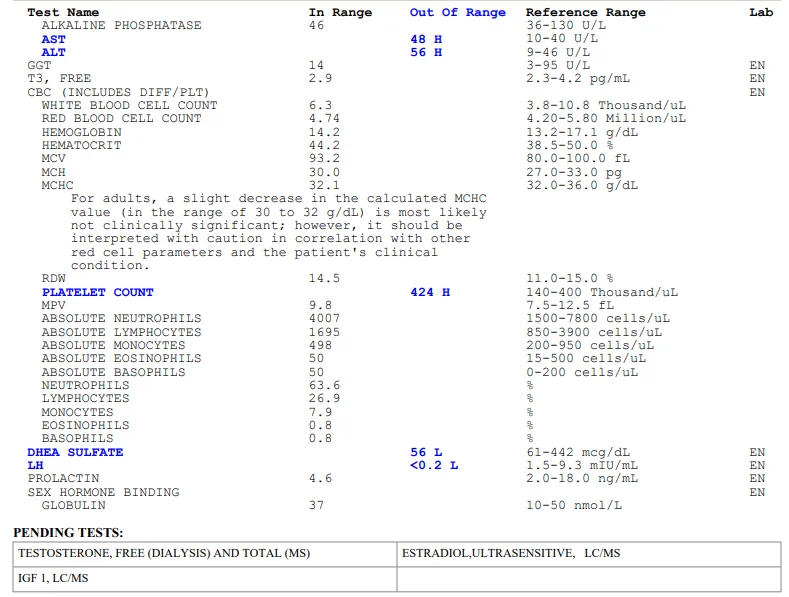 2.webp