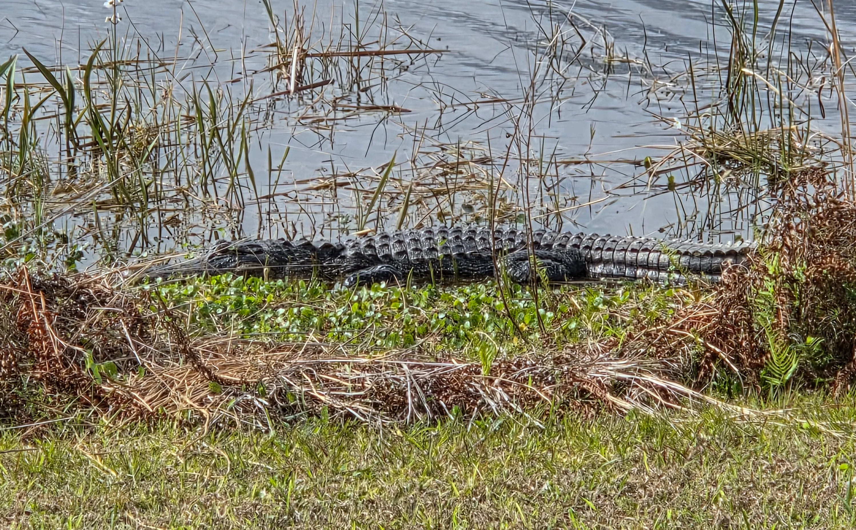 20260301_145333.webp