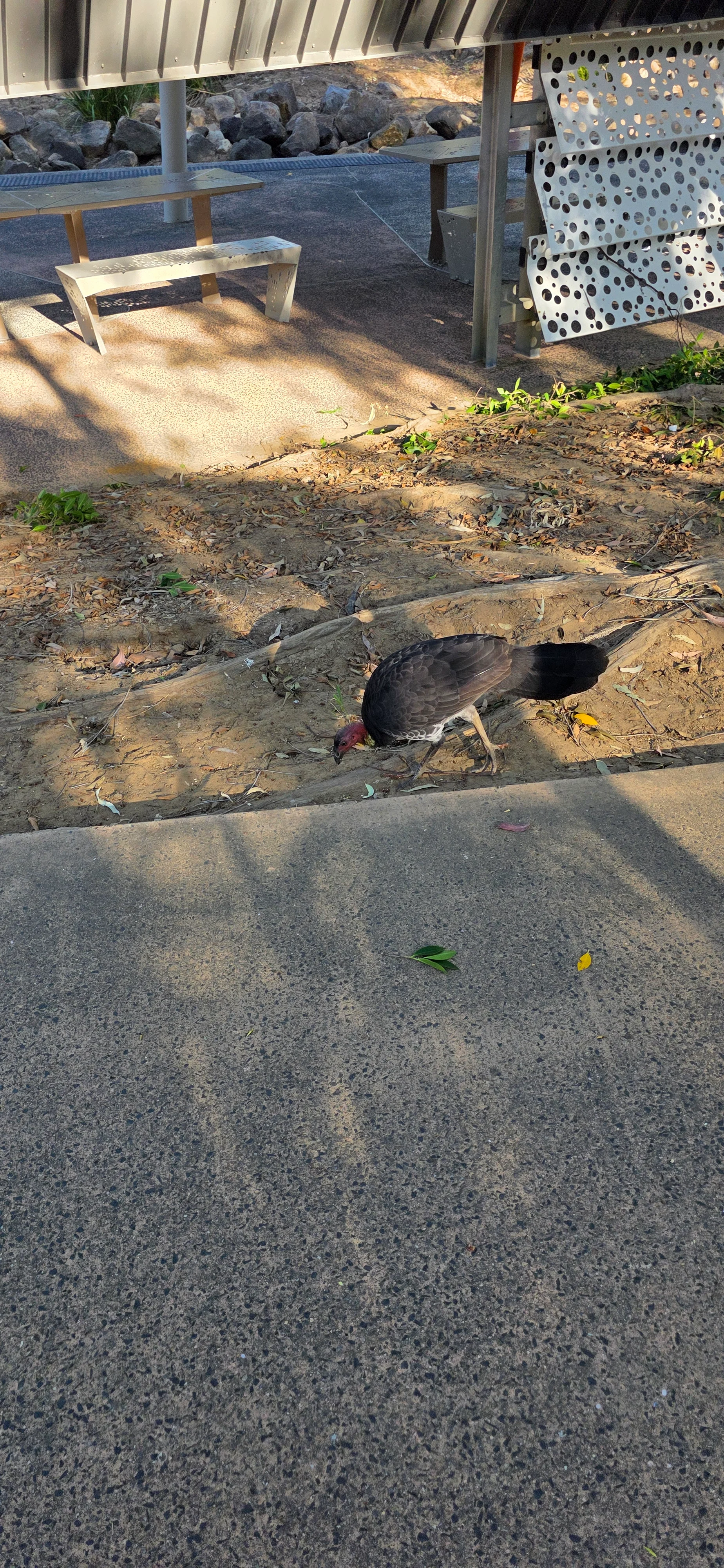 20260410_154716.webp