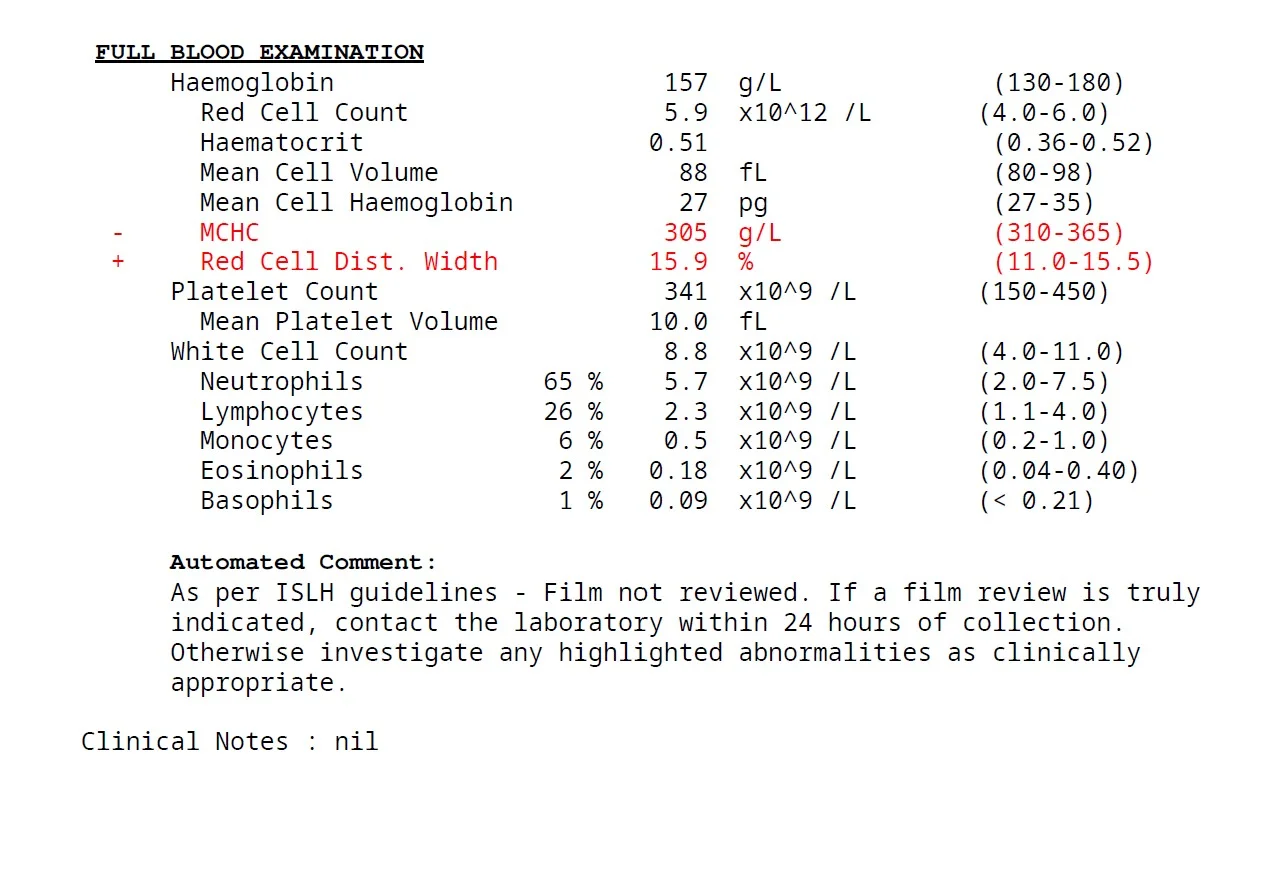 6.webp