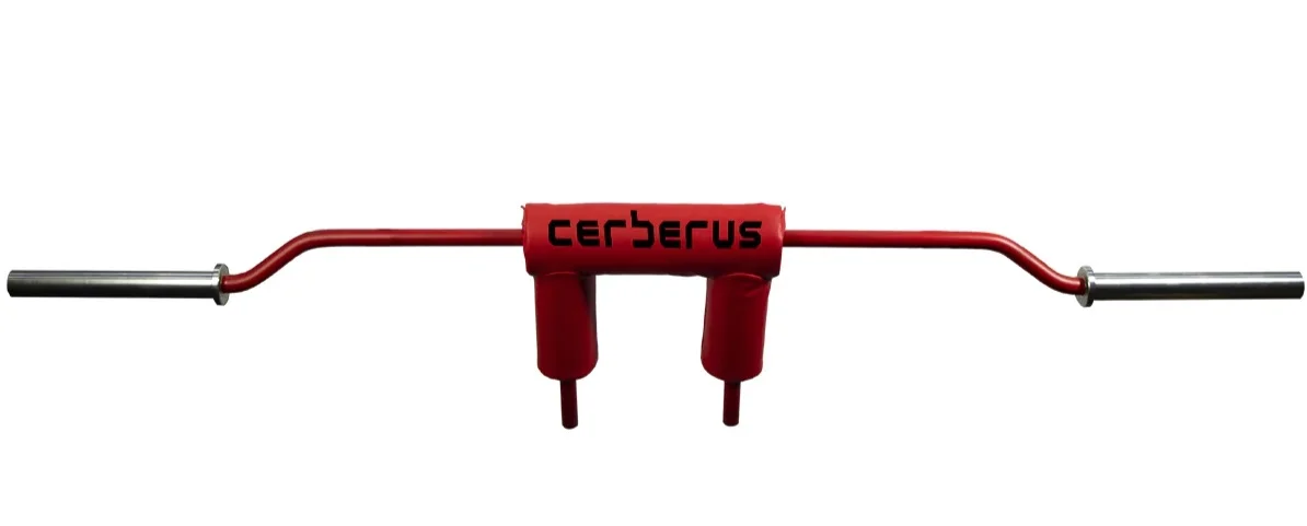 Cerebus SS bar.webp