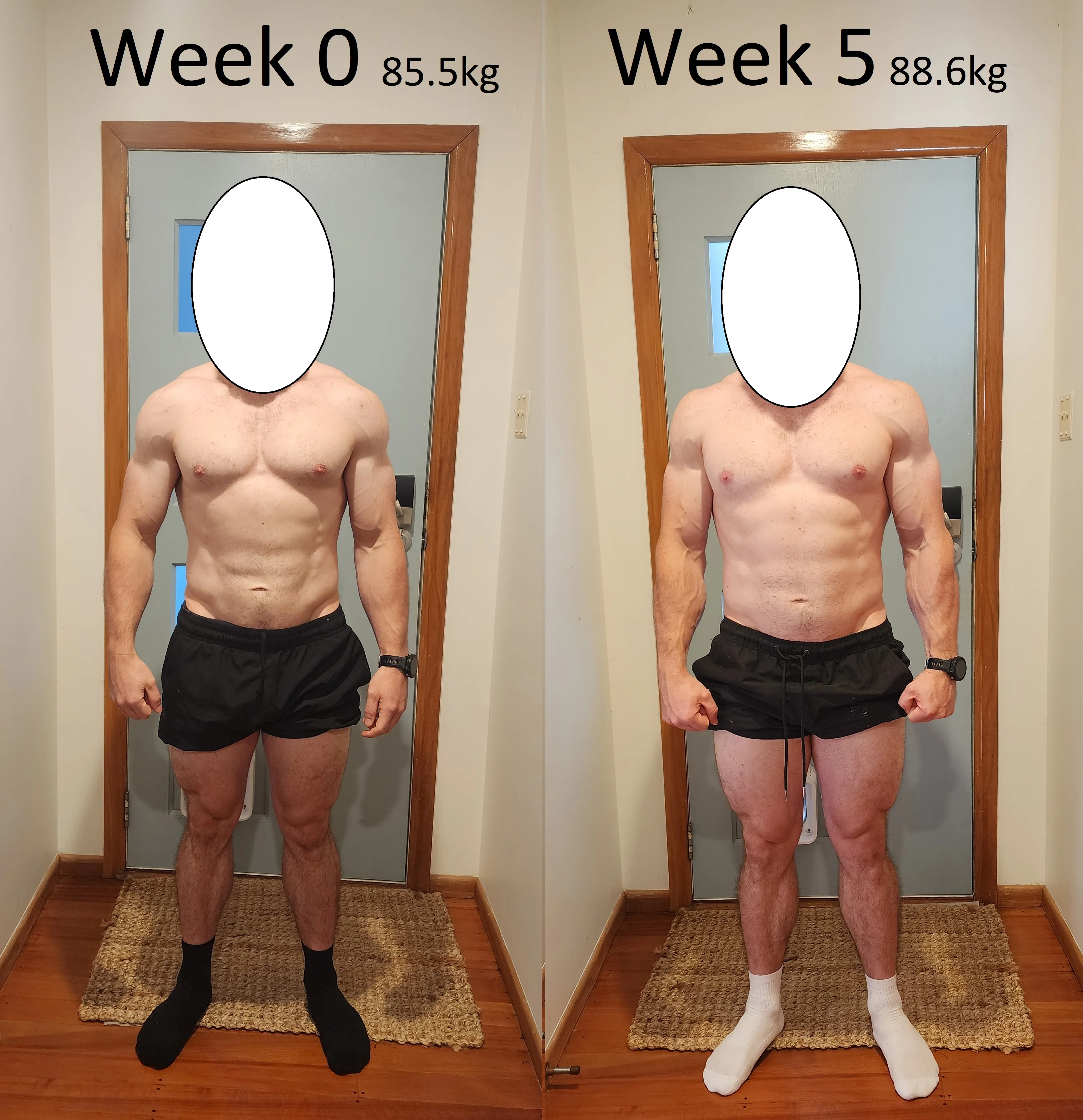 Comparison 1.webp