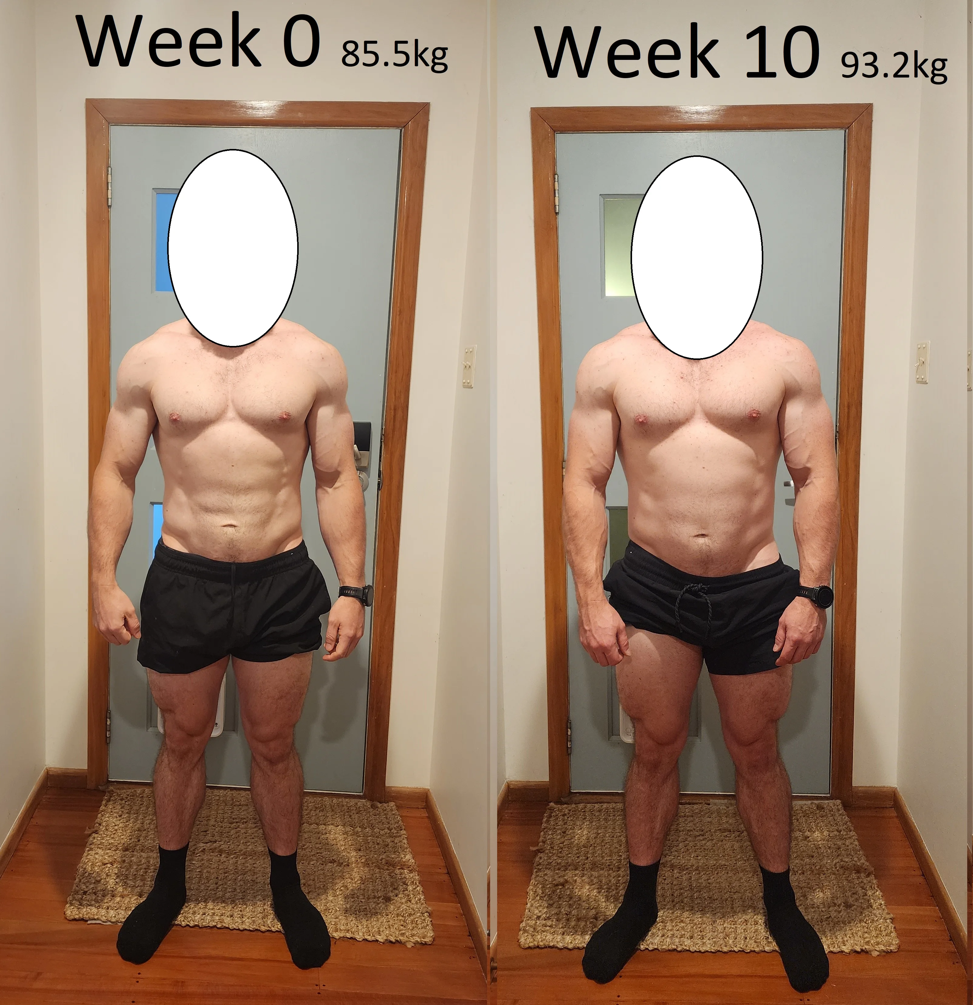 Comparison 1.webp