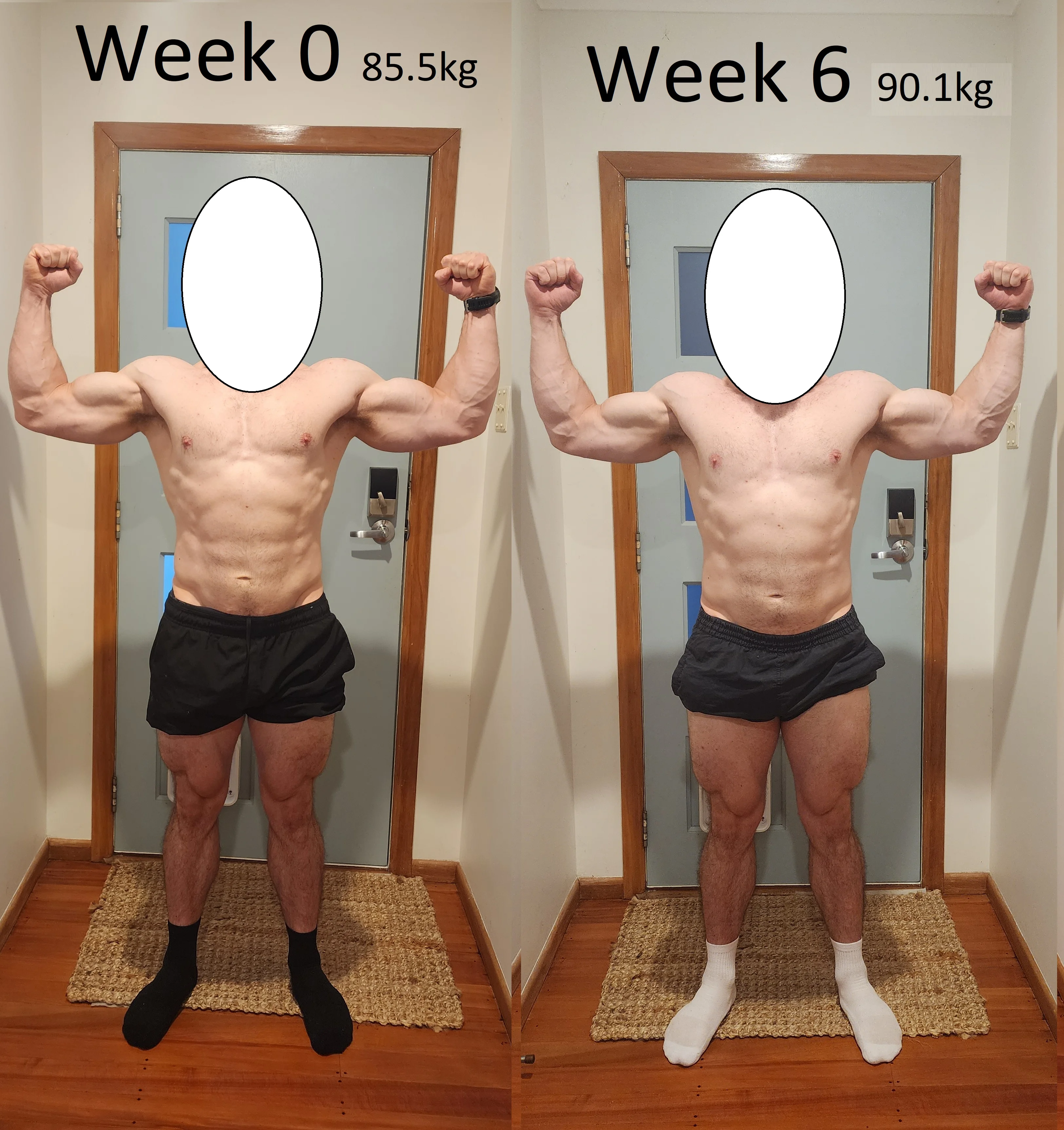 Comparison 2.webp