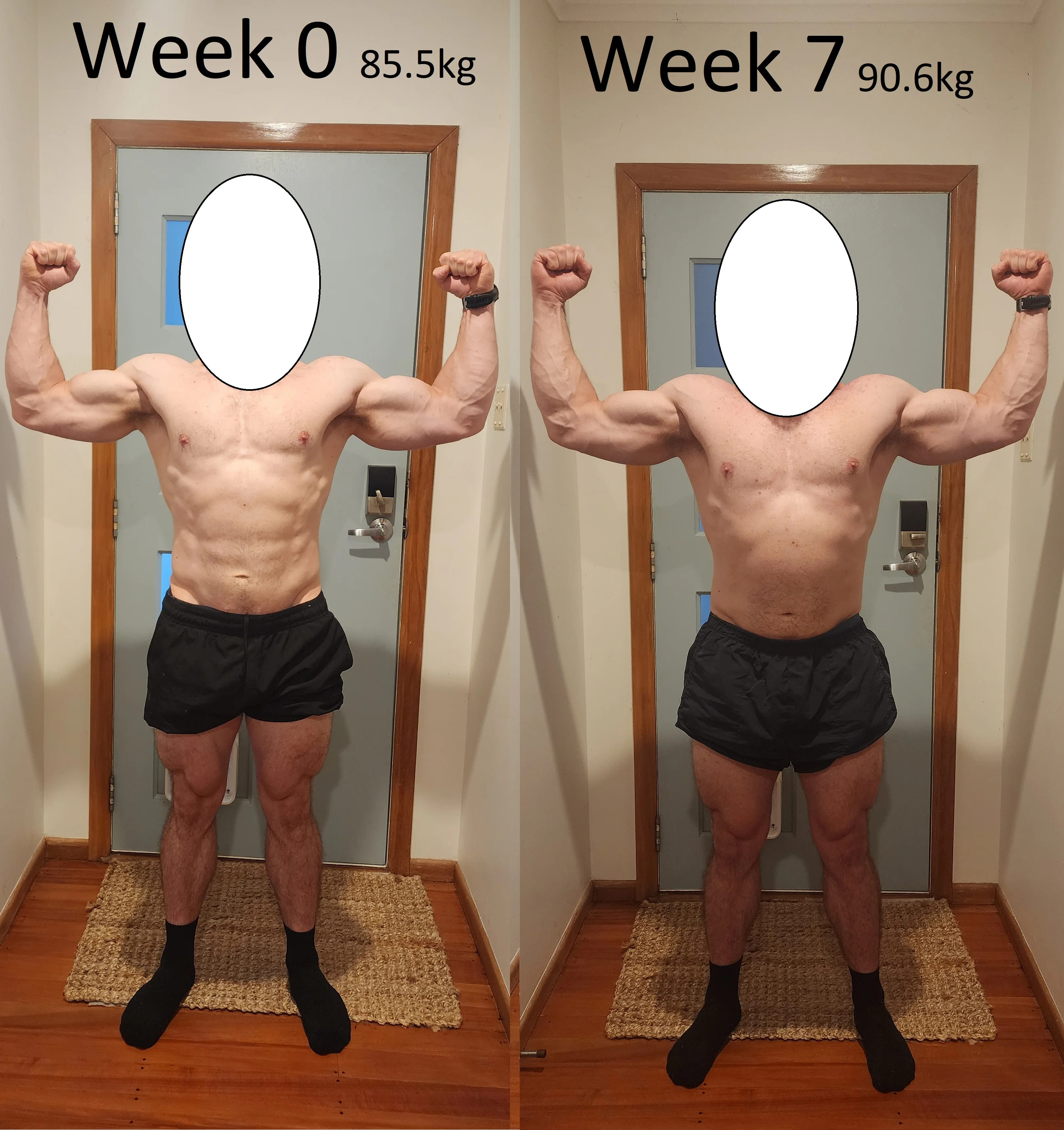 Comparison 2.webp