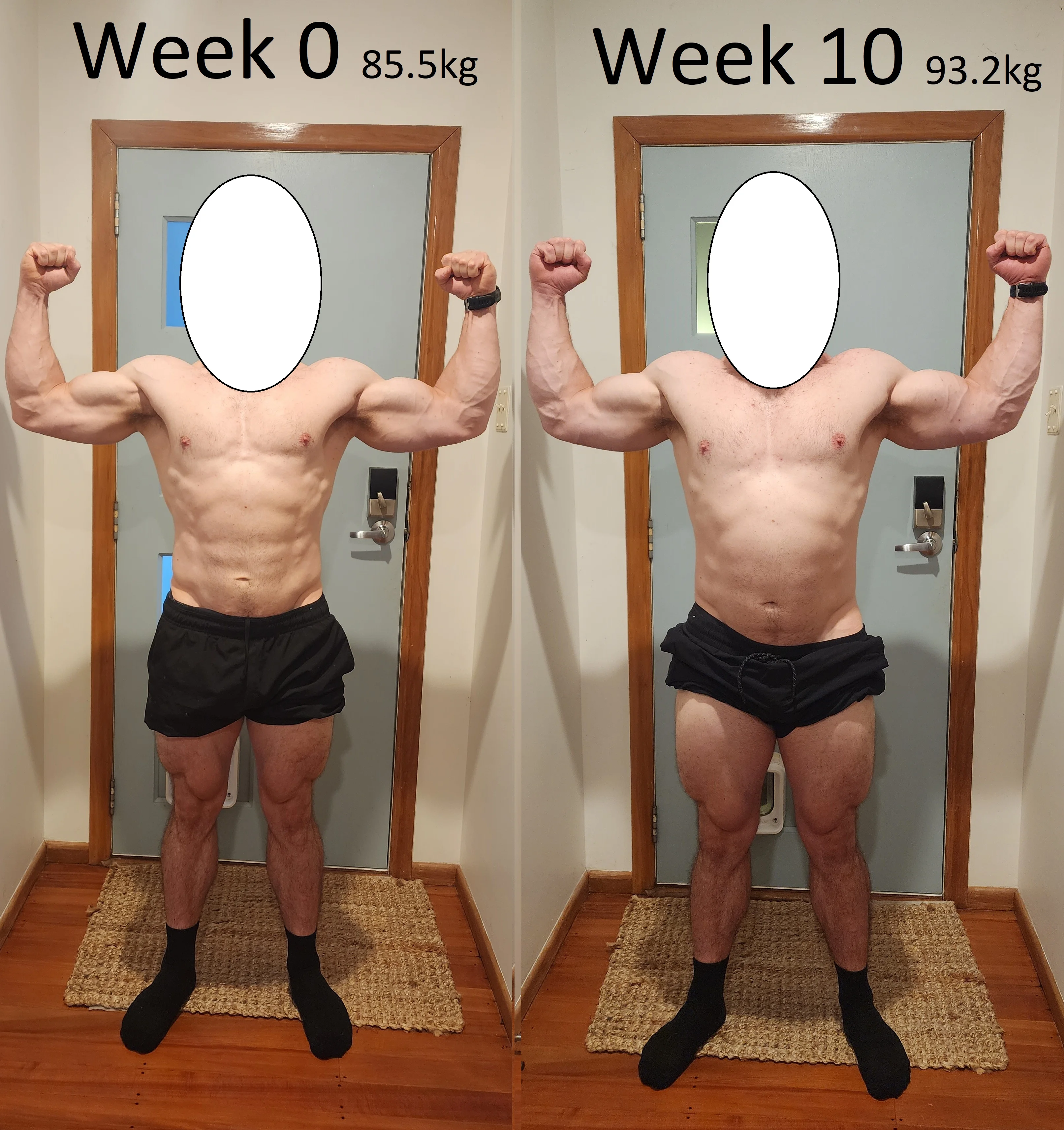 Comparison 2.webp