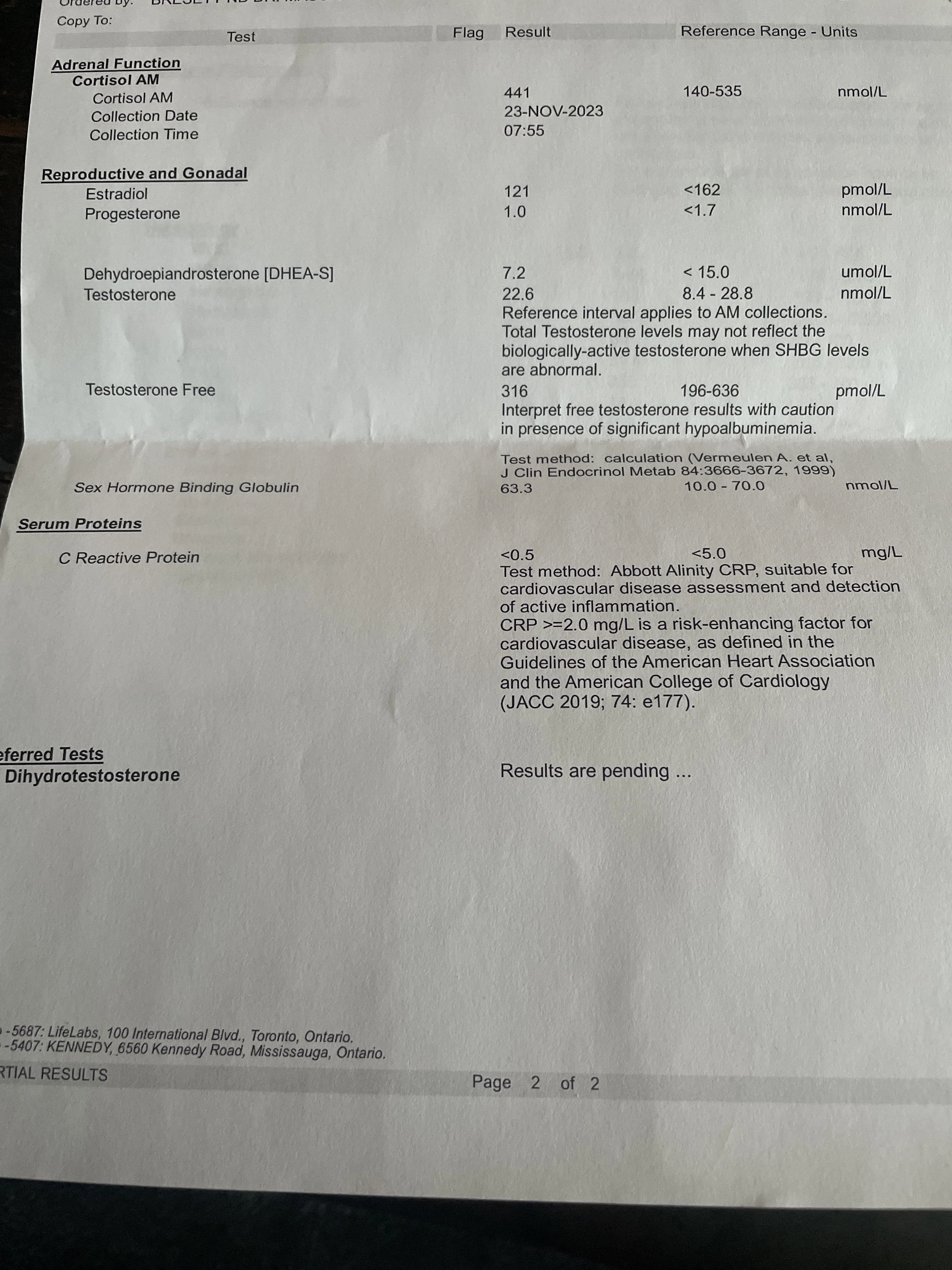 image.webp