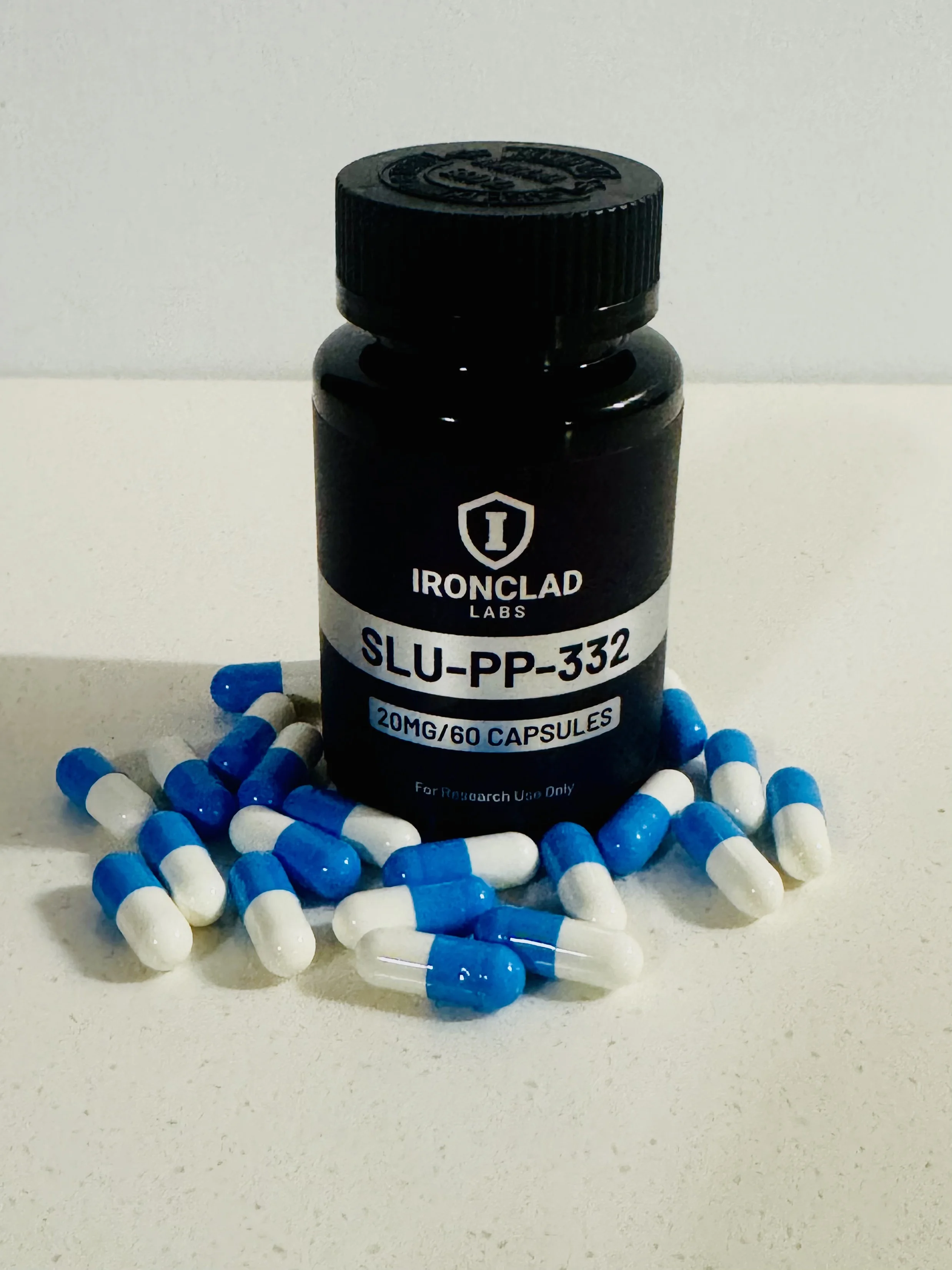 IMG_2549.webp
