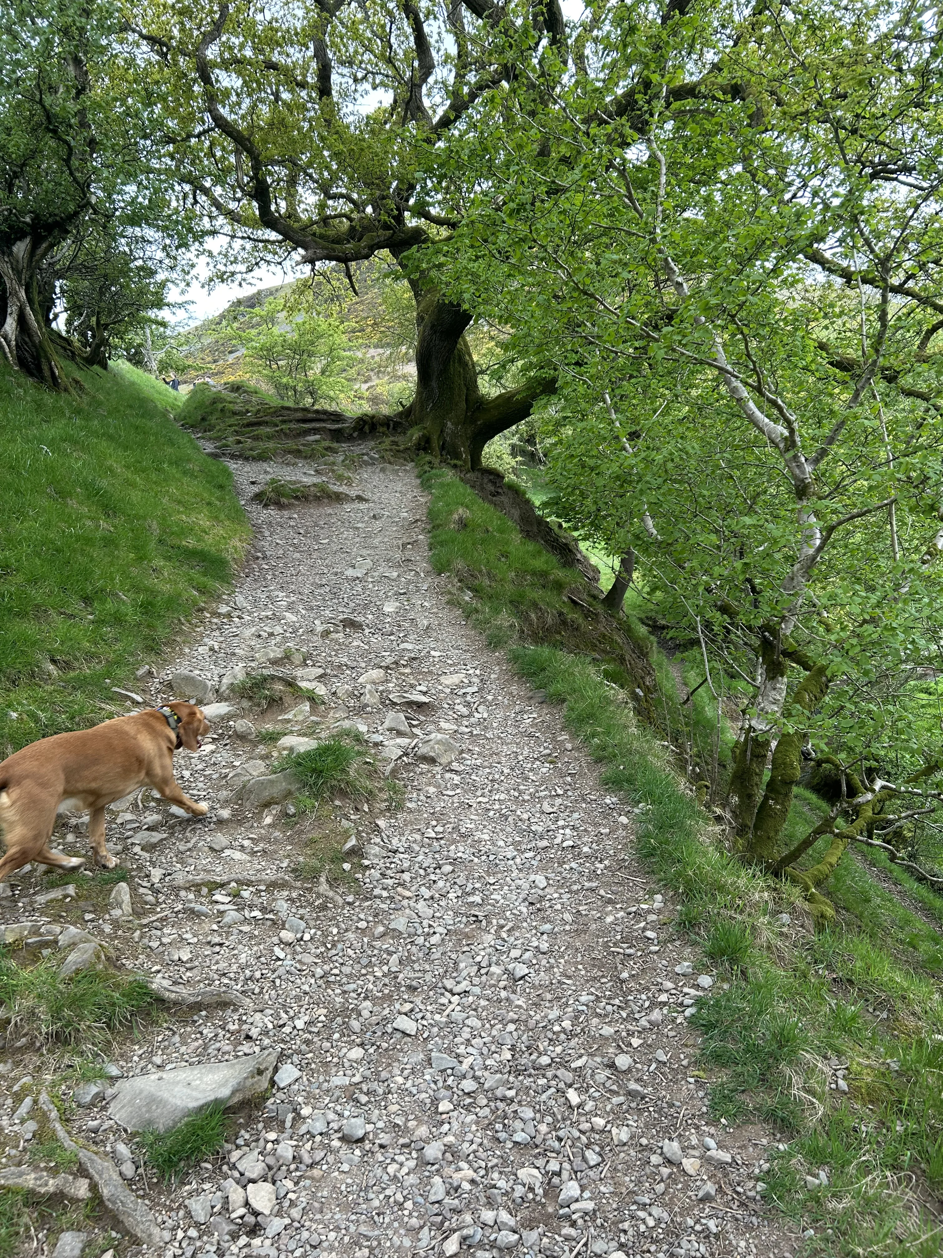IMG_7549.webp