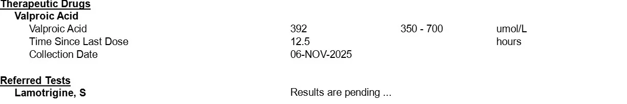 Report_page_2.webp
