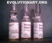 primobolan-spain.webp