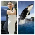 ImageUploadedByTapatalk1412514467.410615.webp