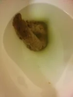 CAM00400.webp