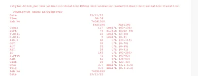 path results 3.webp