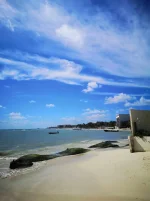 c17dcd57-53da-4375-a9fe-7937bf681654.webp