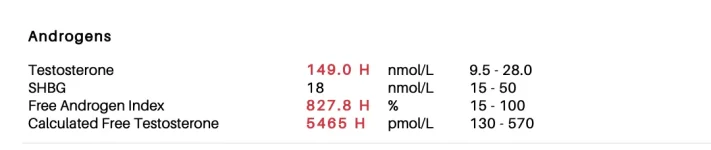 Screenshot 2024-03-14 at 1.08.57 PM.webp