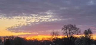 20240324_074343.webp