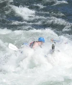 IMG_0347.webp