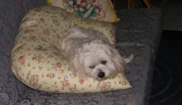 Screenshot_20240416_084248_Facebook.webp
