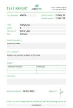 hybirda.webp