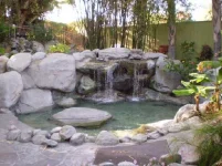 IMG_0360.webp