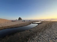 IMG_5615.webp