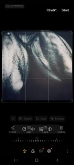 Screenshot_20240726_111441_Photo Editor.webp