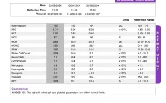 Screenshot_20241015-190410_Adobe Acrobat.webp