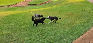 20231024_062234.webp