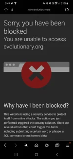 Screenshot_20241118_184910_Samsung Internet.webp